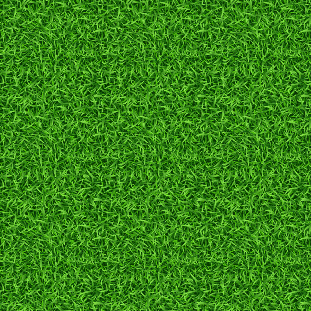 How To clean a green carpet