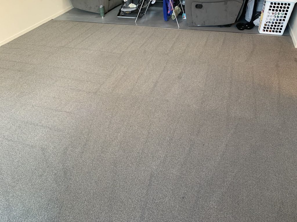 Professional Carpet Cleaning