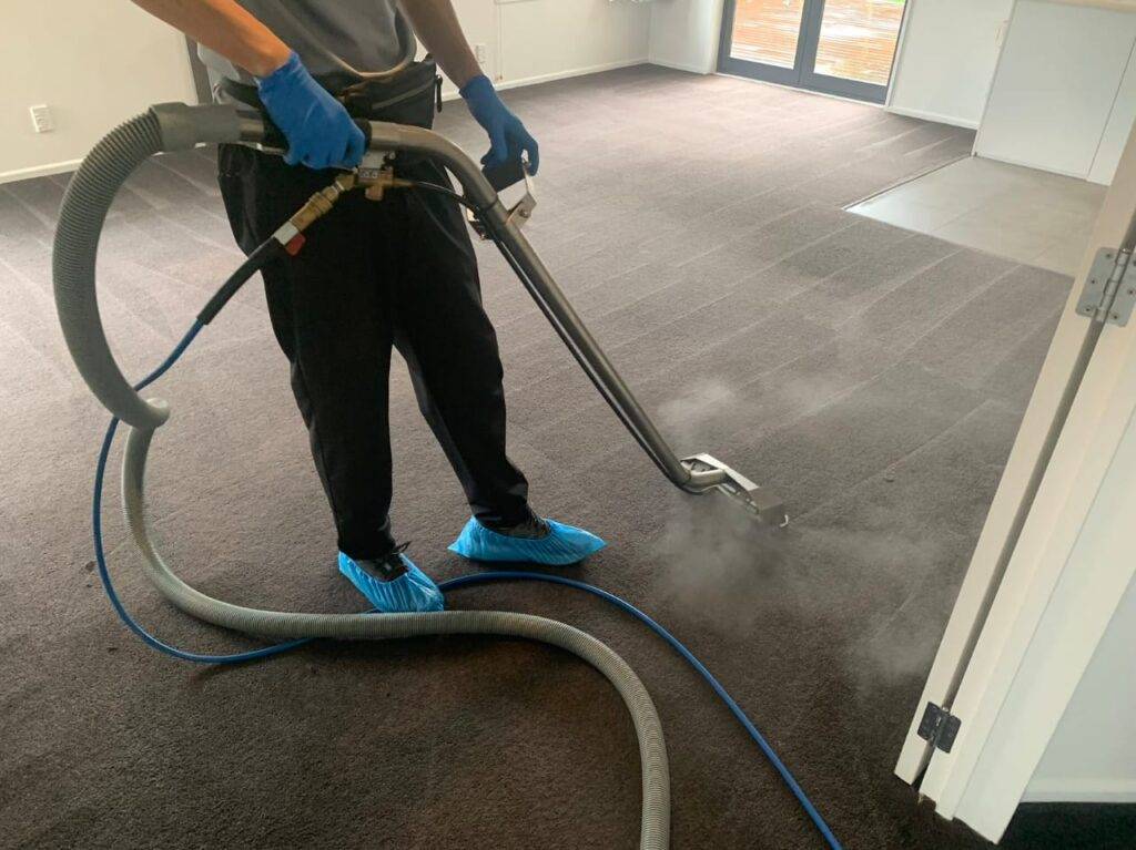 ESSENTIAL GUIDE TO CARPET CARE & CLEANING