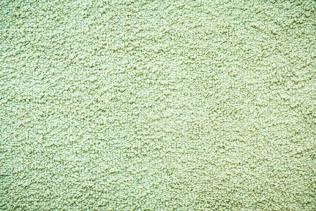 How to Clean Green Carpet